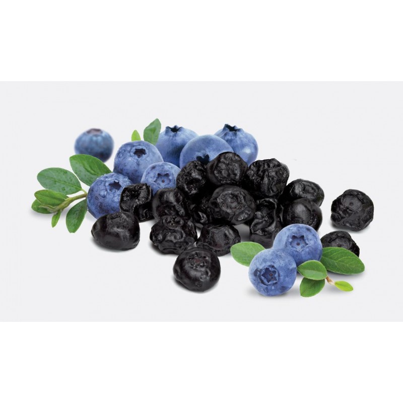 Dried Blueberries Whole Holy Natural