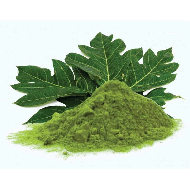 Papaya Leaf Powder Holy Natural